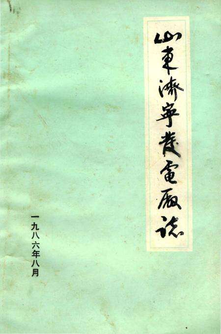 《山东济宁发电厂志》.pdf_山东省志缩略图