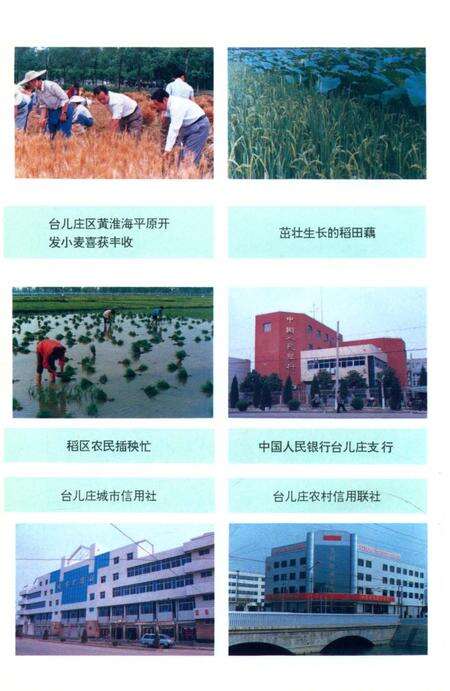 《台儿庄大事记1962－1996》.pdf_山东省志预览图5