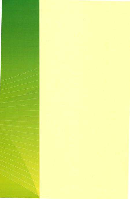 《孙家集街道村庄志略》.pdf_山东省志预览图1