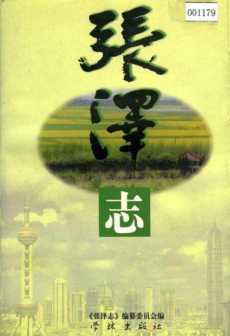 《张泽志》.pdf电子版_上海市志缩略图