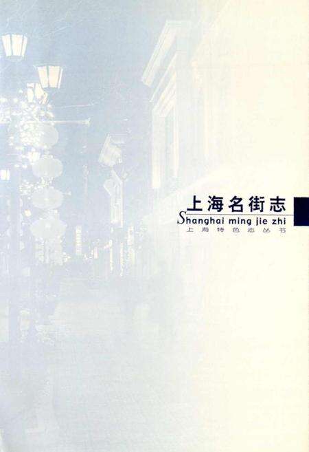 《上海名街志》.pdf电子版_上海市志预览图4