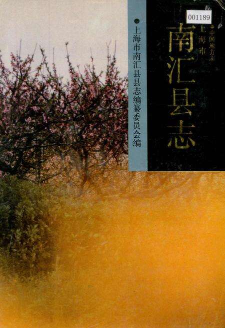 《南汇县志》.pdf电子版_上海市志缩略图