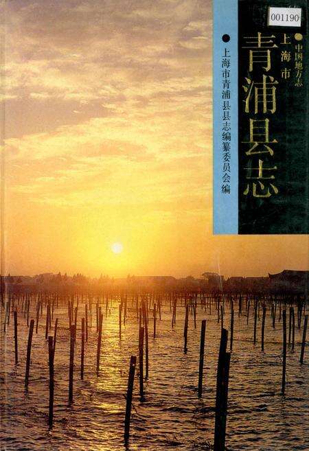 《青浦县志》.pdf电子版_上海市志缩略图
