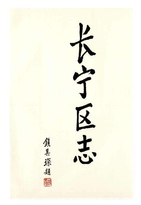 《长宁区志》.pdf电子版_上海市志预览图3