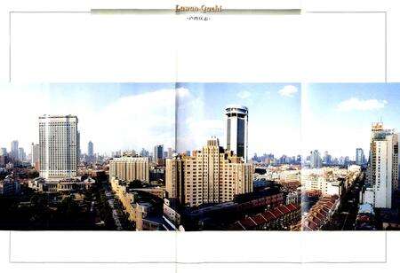 《卢湾区志》.pdf电子版_上海市志预览图3