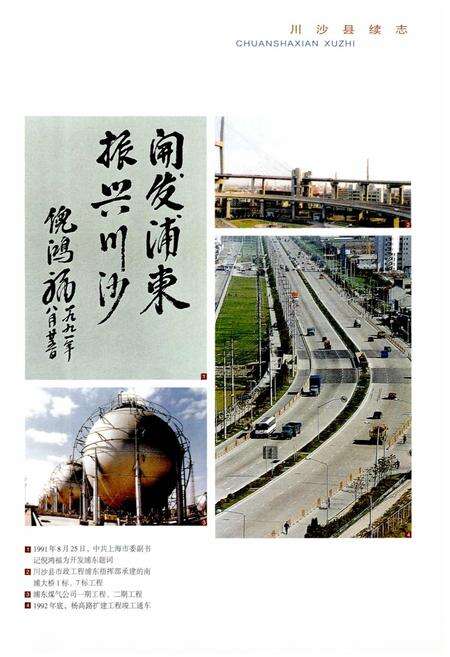 《川沙县续志》.pdf电子版_上海市志预览图5