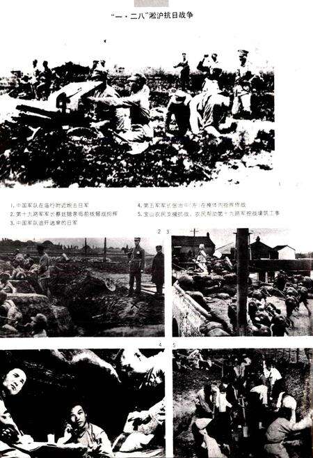 《宝山县志》.pdf电子版_上海市志预览图5