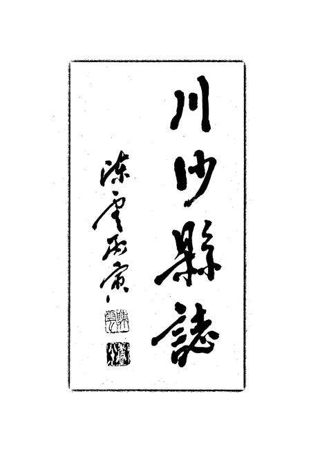 《川沙县志》.pdf电子版_上海市志预览图2