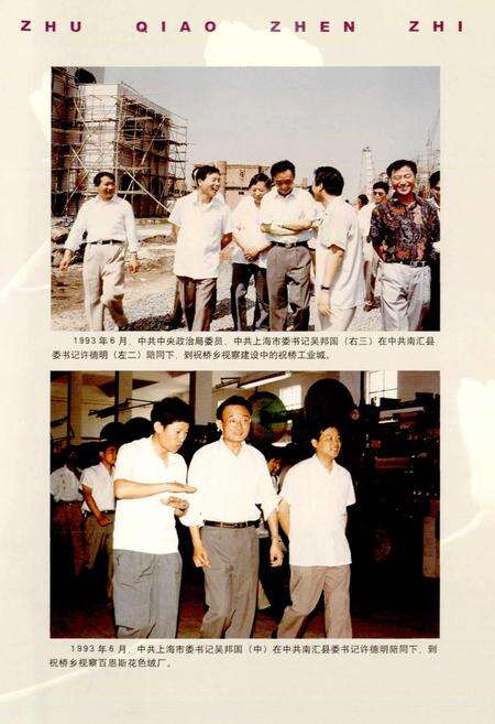 《祝桥镇志》.pdf电子版_上海市志预览图5