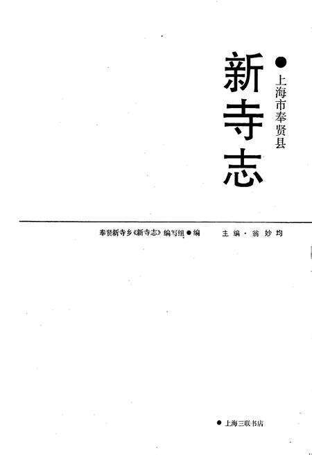 《新寺志》.pdf电子版_上海市志预览图1
