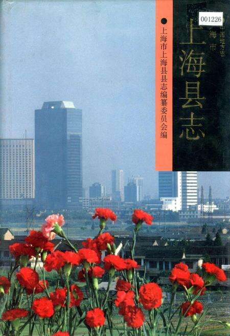 《上海县志》.pdf电子版_上海市志缩略图