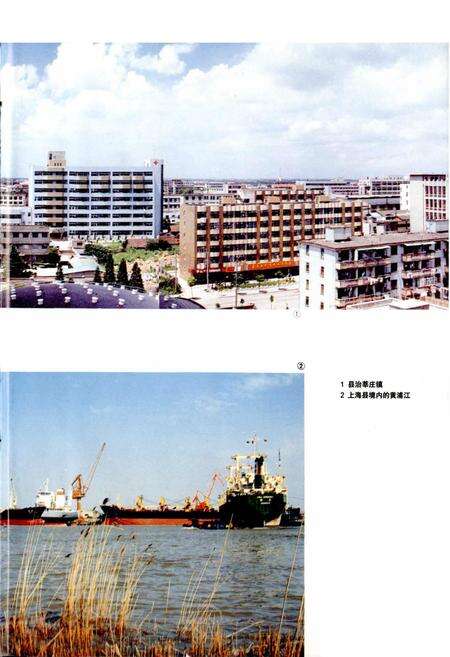 《上海县志》.pdf电子版_上海市志预览图5