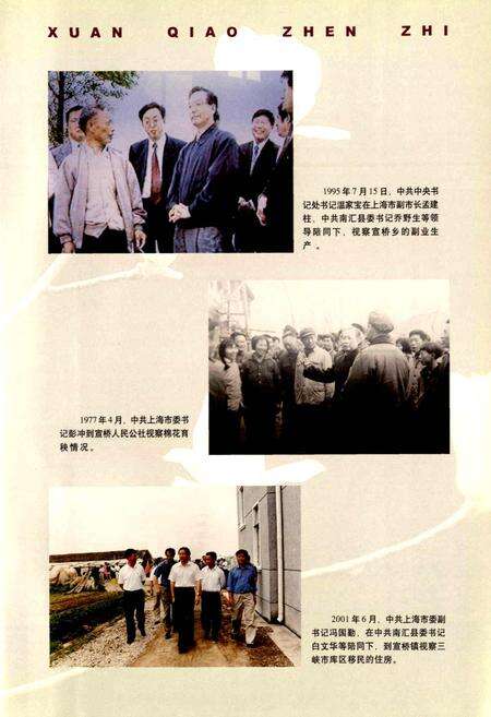 《宣桥镇志》.pdf电子版_上海市志预览图5