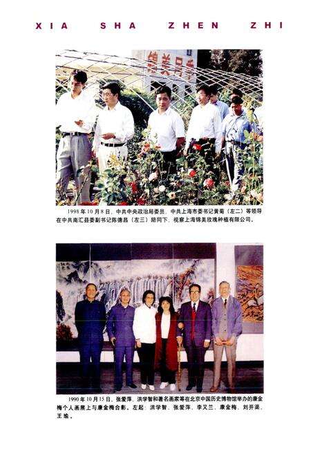 《下沙镇志》.pdf电子版_上海市志预览图5