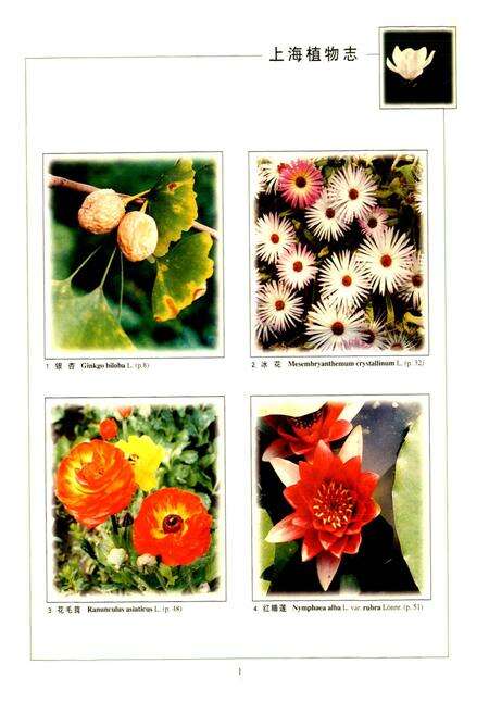 《上海植物志 上卷》.pdf电子版_上海市志预览图3