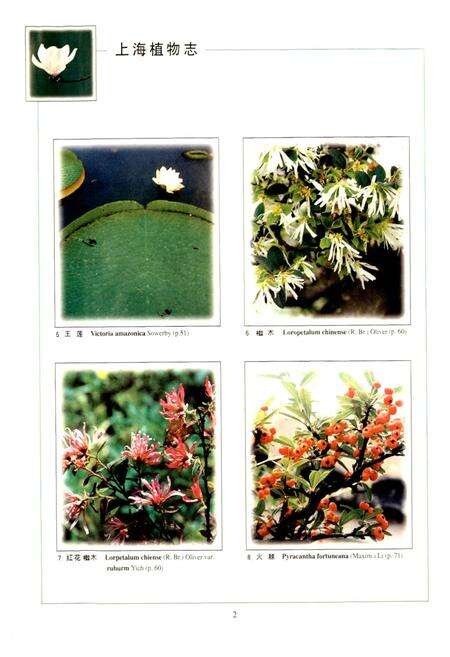 《上海植物志 上卷》.pdf电子版_上海市志预览图4
