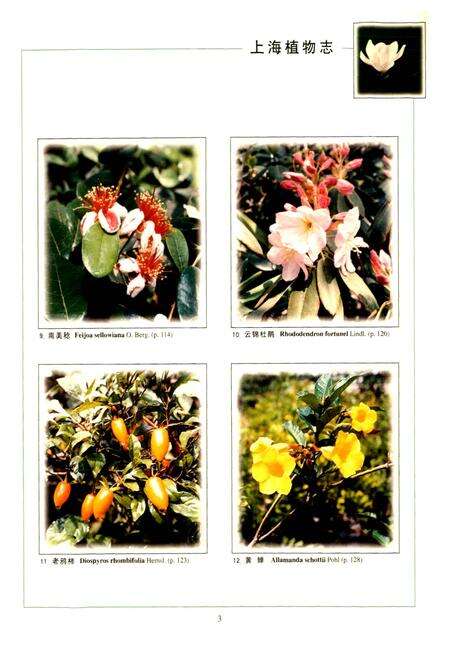 《上海植物志 上卷》.pdf电子版_上海市志预览图5