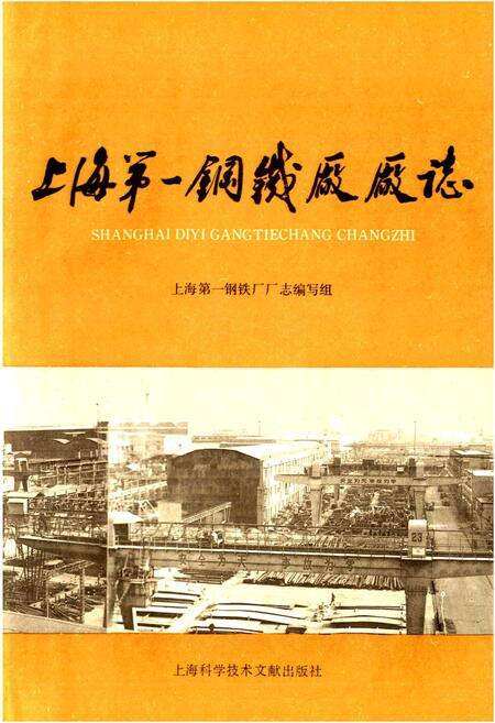 《上海第一钢铁厂厂志》.pdf电子版_上海市志预览图1