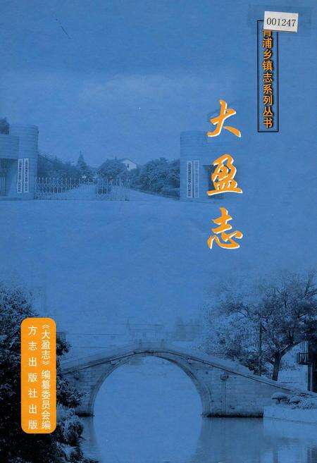 《大盈志》.pdf电子版_上海市志缩略图