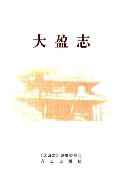 《大盈志》.pdf电子版_上海市志预览图1