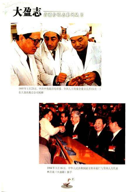 《大盈志》.pdf电子版_上海市志预览图4