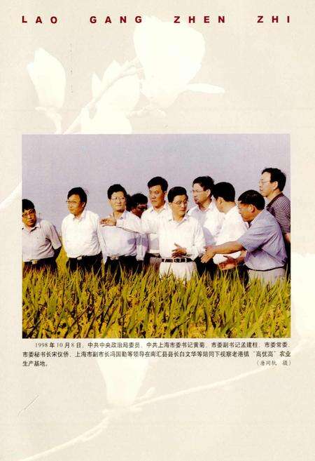 《老港镇志》.pdf电子版_上海市志预览图5