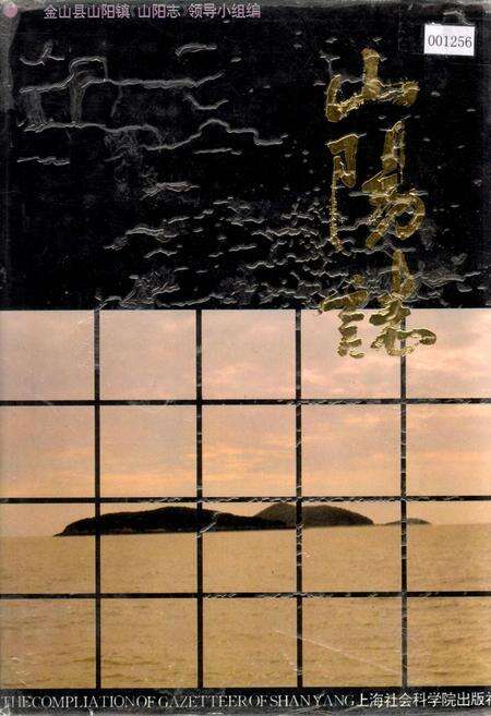 《山阳志》.pdf电子版_上海市志缩略图