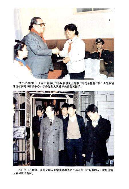 《唐镇志》.pdf电子版_上海市志预览图4