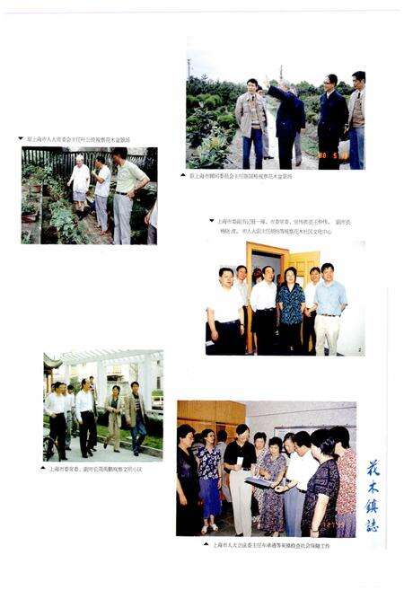 《花木镇志》.pdf电子版_上海市志预览图3