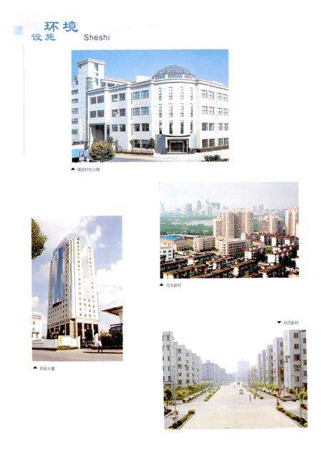 《花木镇志》.pdf电子版_上海市志预览图4