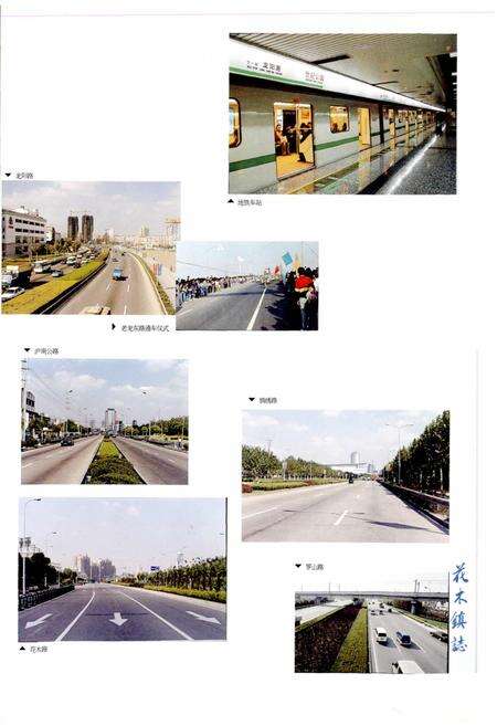 《花木镇志》.pdf电子版_上海市志预览图5