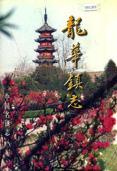 《龙华镇志》.pdf电子版_上海市志缩略图