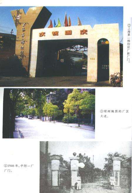 《上海第一棉纺织厂工人运动史》.pdf电子版_上海市志预览图5