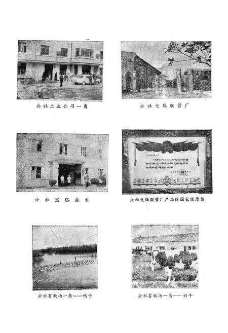 《龙华志》.pdf电子版_上海市志预览图5