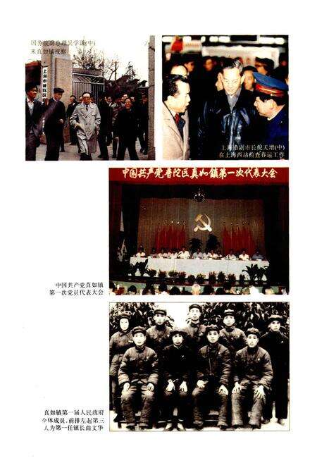 《真如镇志》.pdf电子版_上海市志预览图2