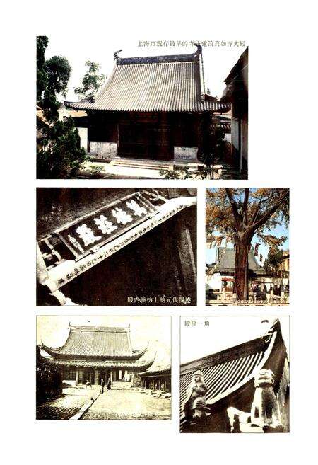 《真如镇志》.pdf电子版_上海市志预览图3