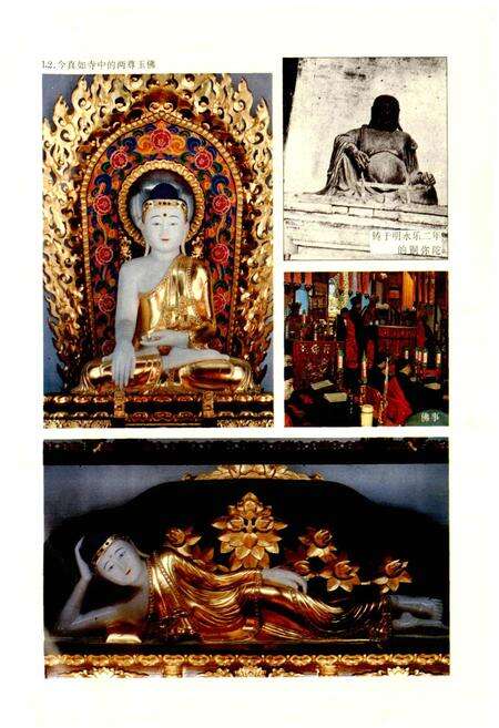 《真如镇志》.pdf电子版_上海市志预览图4