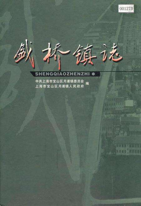 《盛桥镇志》.pdf电子版_上海市志缩略图