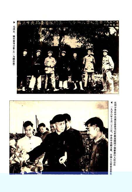 《徐行乡志》.pdf电子版_上海市志预览图4