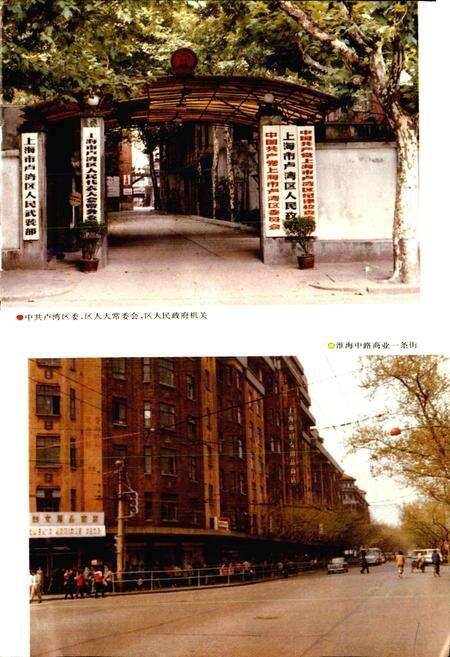 《上海市卢湾区地名志》.pdf电子版_上海市志预览图2