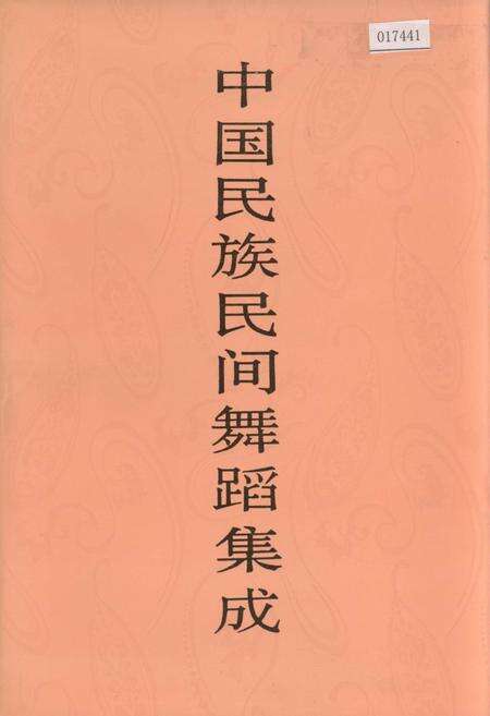 《中国民族民间舞蹈集成上海卷》.pdf电子版_上海市志缩略图
