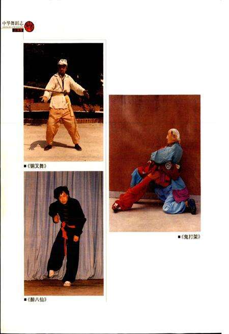 《中华舞蹈志上海卷》.pdf电子版_上海市志预览图4