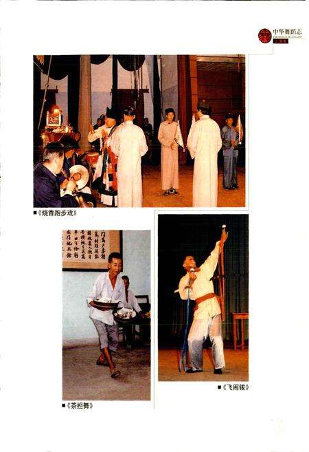 《中华舞蹈志上海卷》.pdf电子版_上海市志预览图5