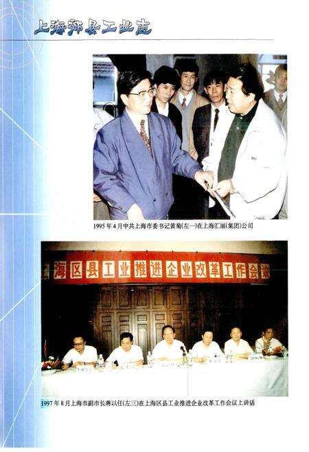 《上海郊县工业志》.pdf电子版_上海市志预览图4