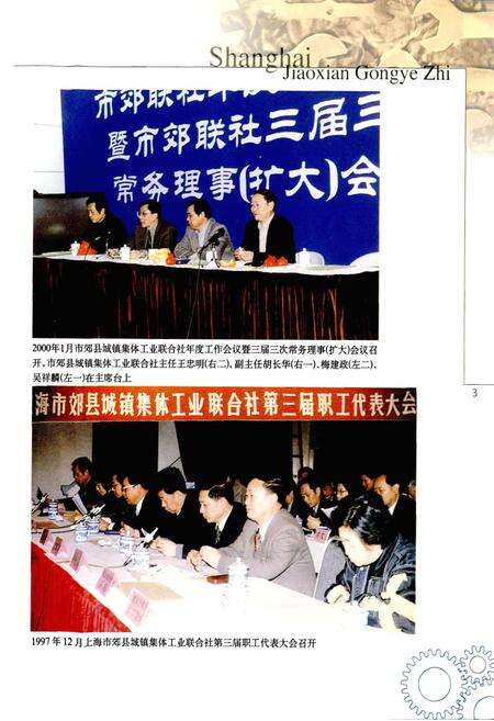 《上海郊县工业志》.pdf电子版_上海市志预览图5