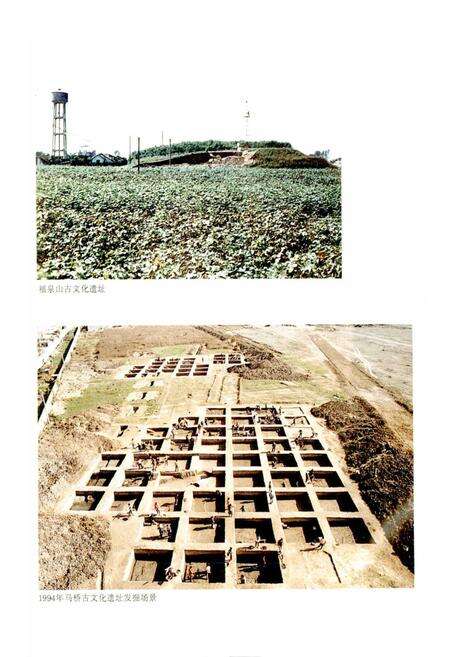 《上海文物博物馆志》.pdf电子版_上海市志预览图4