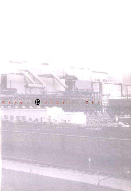 《宝钢集团一钢公司志》.pdf电子版_上海市志预览图3