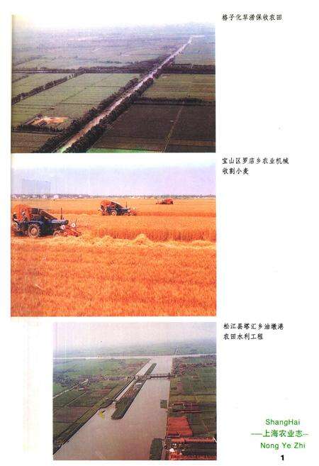 《上海农业志》.pdf电子版_上海市志预览图3