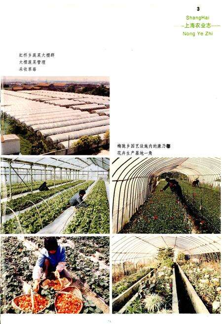 《上海农业志》.pdf电子版_上海市志预览图5