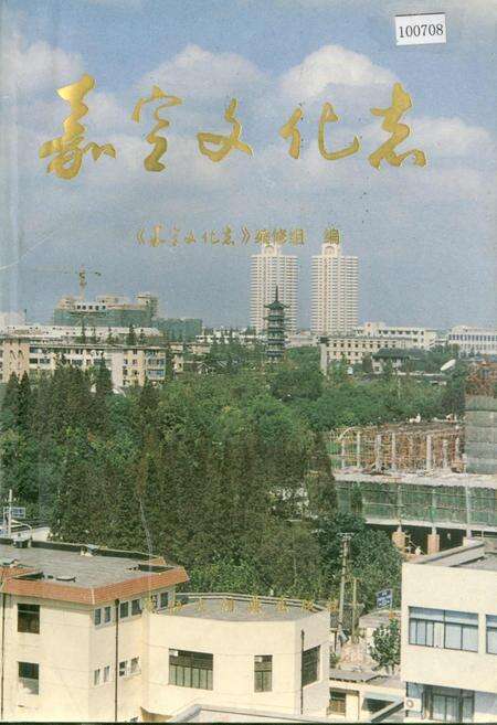 《嘉定文化志》.pdf电子版_上海市志缩略图